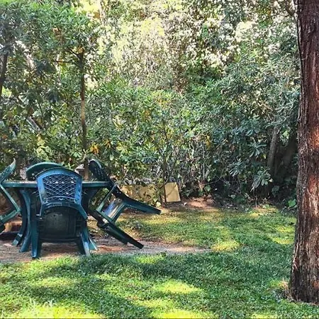 La Casa Del Mare Appartement Rosolina Mare